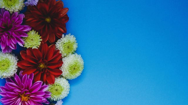 米切尔和鲁 米切尔和鲁