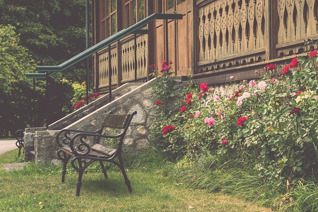 环境的真实 环境的真实